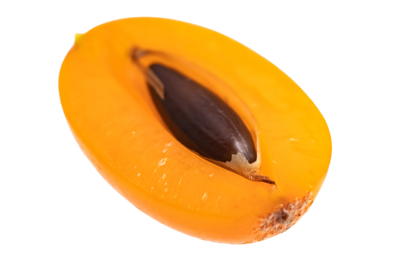 沙棘果肉與種籽都含有豐富的不飽和脂肪酸。