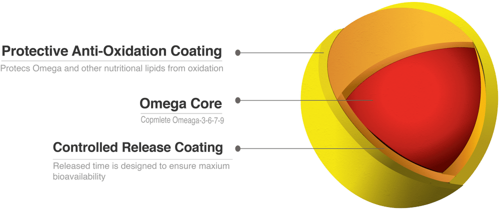 TriCAP 三層包埋技術，為沙棘果油的 Omega-7 提供多道保護，並轉換成水分散粉末規格，提供更多不同劑型應用。