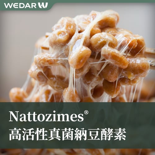 Nattozimes® 高活性真菌納豆酵素