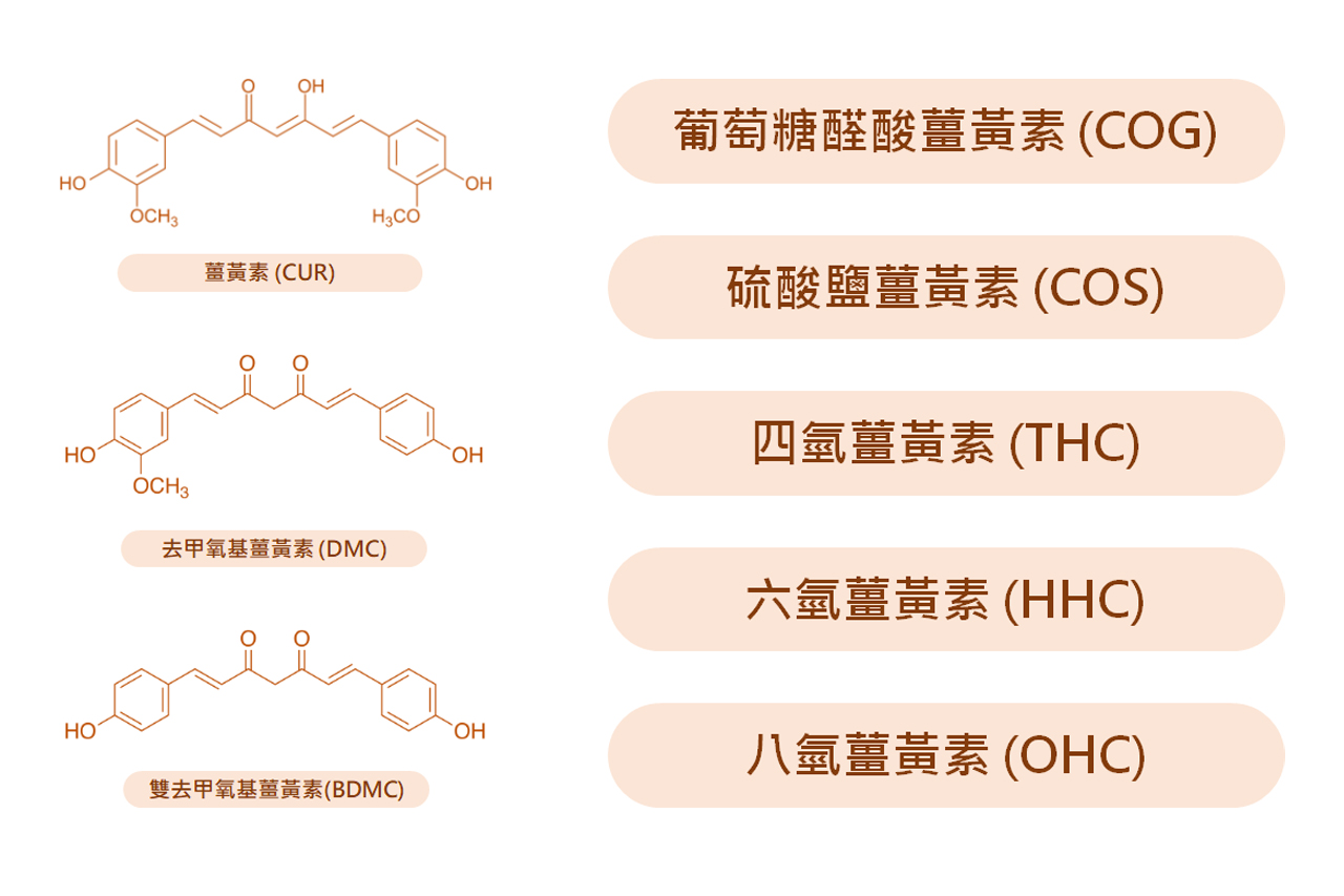 Cureit 含有三大薑黃素，以及多種天然薑黃活性營養。