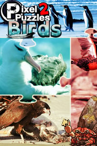 Pixel Puzzles 2: Birds