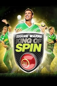 King of Spin [VR]