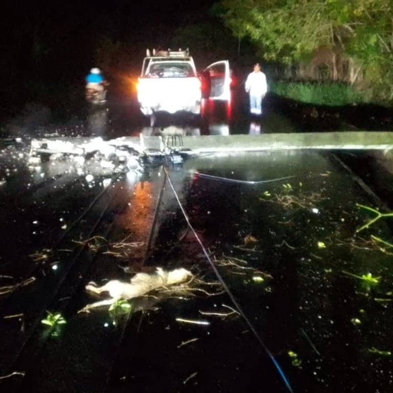 Fuertes vientos afectan 11 circuitos eléctricos y dejan sin luz a 38 mil clientes en el Cibao