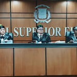 Otros partidos también apoyan la decisión del Tribunal.