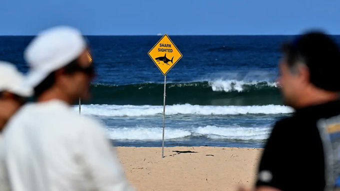 Tiburón causa la muerte de un surfista en una playa del norte de Sídney