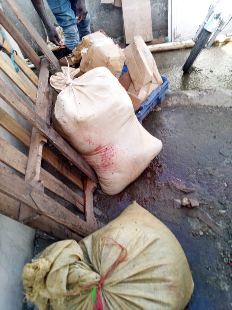 VIDEO: Preocupación por sacrificio ilegal de reses enfermas en la frontera de Dajabón