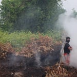 Incendios de Indonesia arrasan unos dos millones de hectáreas