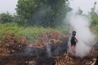 Incendios de Indonesia arrasan unos dos millones de hectáreas