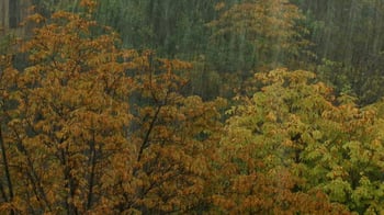 RD le da la bienvenida al otoño con lluvias en el suroeste y noreste del país