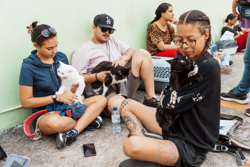 Fueron esterilizados un total de 102 perros y gatos. Asimismo, proporcionaron 352 vacunas contra la rabia y 462 desparasitantes. Además, fueron aplicadas 194 vacunas caninas de varios tipos.