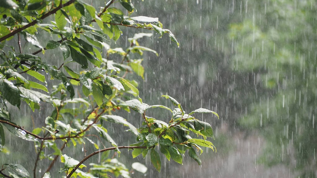 Aumentan 6 provincias y al DN alerta amarilla y mantienen 9 en verde 6