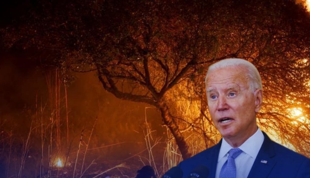 Biden anuncia ayuda para afectados del incendio forestal más destructivo de la historia en California 10