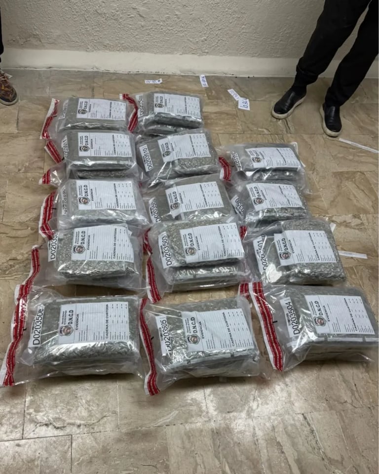 Incautan 42 paquetes de presunta marihuana en aeropuerto de Punta Cana