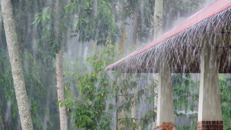 Pronostican lluvias para este fin de semana