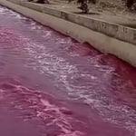 VIDEO: Un río se tiñe de rojo en Perú y no se sabe por qué