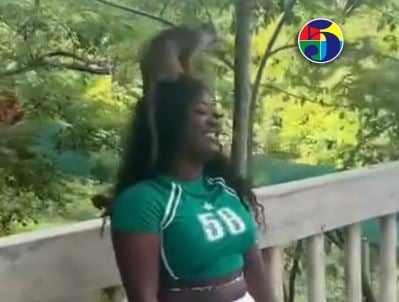 Mono roba pestaña postiza a joven y se vuelve viral