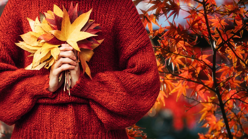 ¡Cambio de estación! El otoño comienza este miércoles
