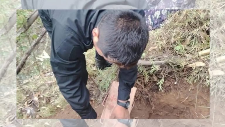 Abuela habría enterrado vivo a su nieto recién nacido