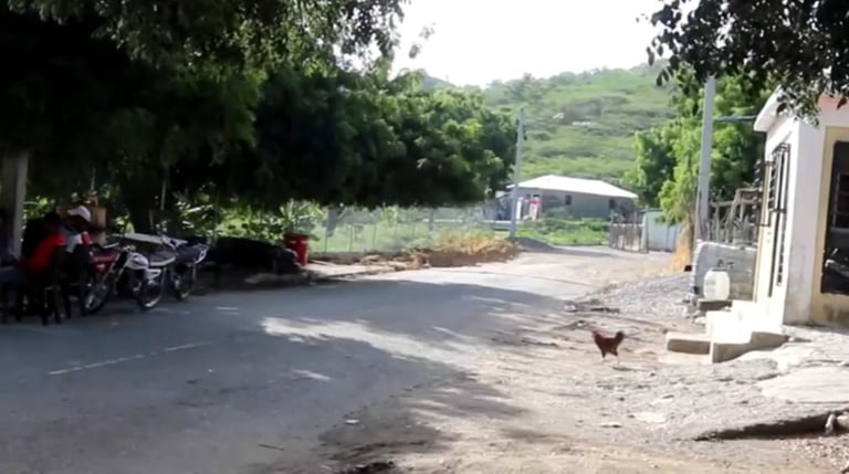 VIDEO: Aislados y olvidados: comunidad El Cigual en Azua ni cuenta con señal telefónica