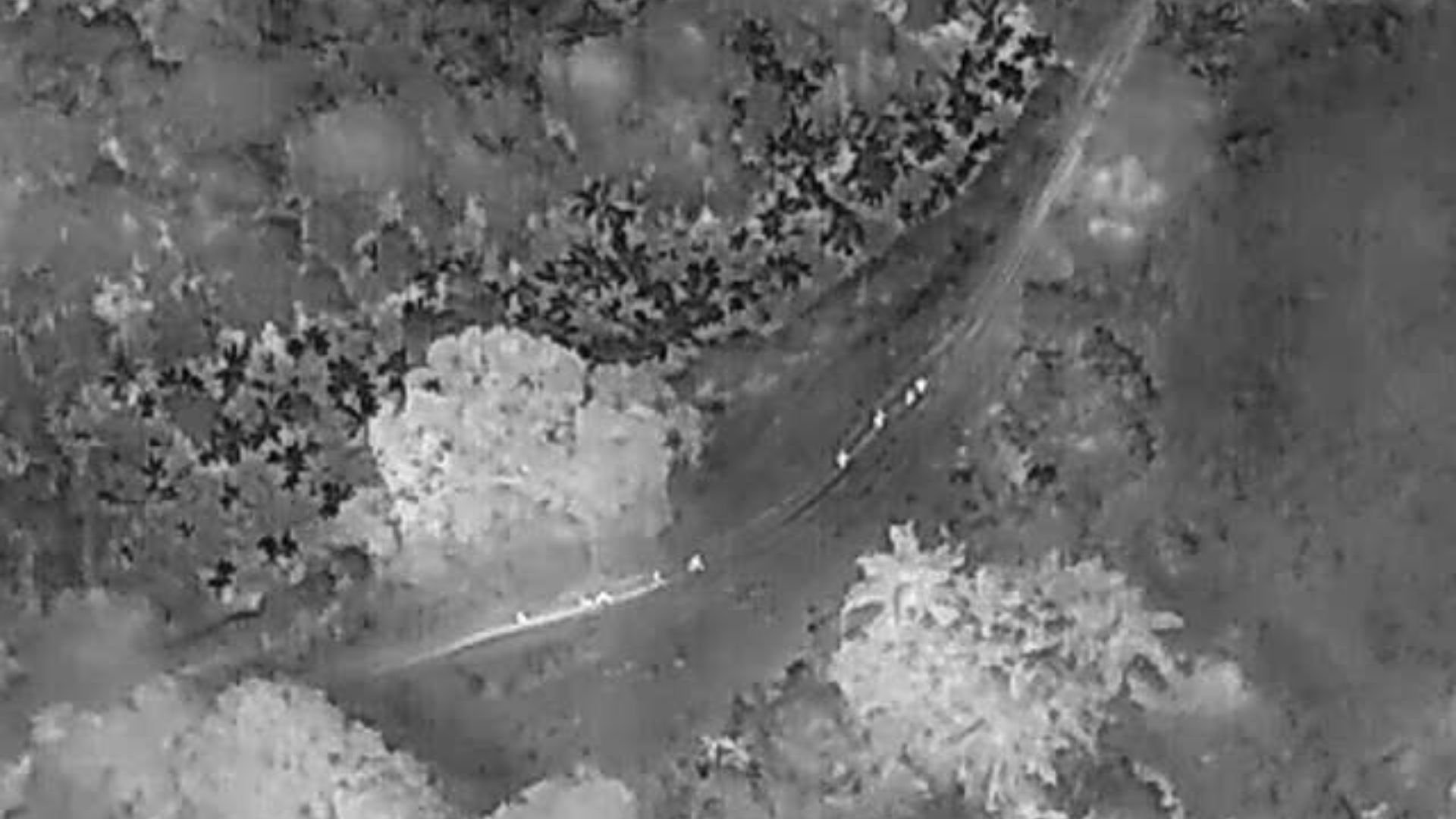 El grupo estaba conformado por cinco hombres, doce mujeres y dos menores de edad, ninguno de los cuales portaba documentos que acreditaran su estatus migratorio legal en el país.