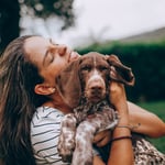Hoy en día, hay más de 900 millones de perros en el mundo. Algunos viven en hogares cálidos, otros en las calles, y muchos trabajan como guías, rescatistas, detectores de enfermedades o apoyo emocional. No son solo mascotas: en muchos casos, son héroes discretos.