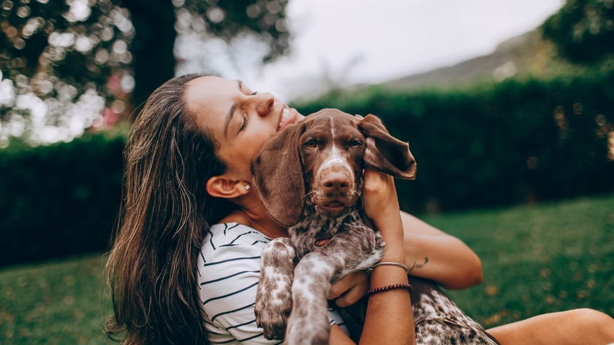 Hoy en día, hay más de 900 millones de perros en el mundo. Algunos viven en hogares cálidos, otros en las calles, y muchos trabajan como guías, rescatistas, detectores de enfermedades o apoyo emocional. No son solo mascotas: en muchos casos, son héroes discretos.