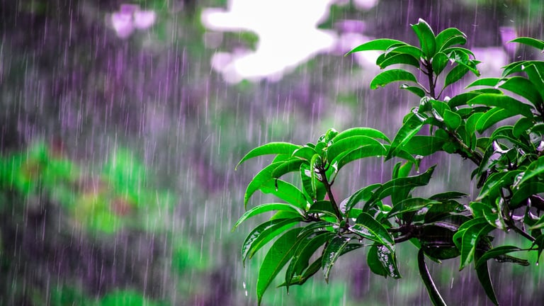 Se esperan aguaceros con tormentas eléctricas y ráfagas de viento