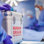 Día Mundial de la Donación de Órganos: una oportunidad para salvar vidas