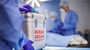 Día Mundial de la Donación de Órganos: una oportunidad para salvar vidas