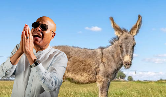 Rubby Pérez dice sentir una profunda tristeza tras desaparición de su burro