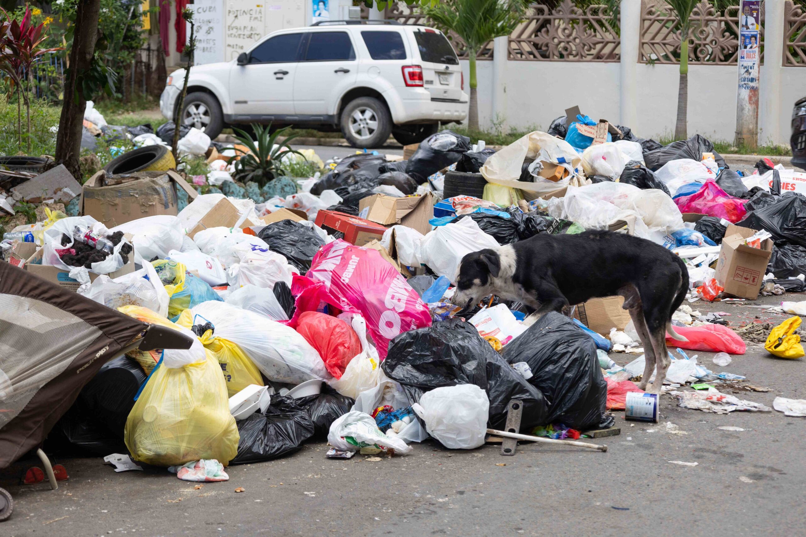Alcalde de Santo Domingo Este se le zapatea a la basura