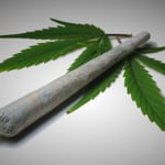 Las redes sociales podrían estar favoreciendo el aumento de consumo de cannabis