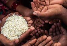 El Proyecto Hambre aborda con un enfoque holístico los problemas centrales vinculados al hambre, forjando alianzas efectivas con los gobiernos locales.