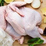 Gobierno almacenará 8 millones de libras de pollo congelado para estabilizar precios del mercado