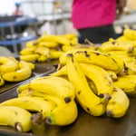 INABIE rompe barreras y llega con alimentación escolar a más de 84 mil estudiantes en zonas remotas