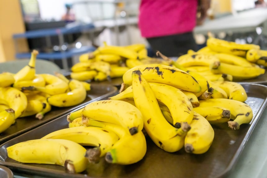 INABIE rompe barreras y llega con alimentación escolar a más de 84 mil estudiantes en zonas remotas