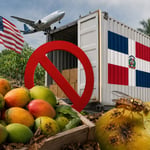 EEUU suspende importación de mangos desde República Dominicana por exceso de bacteria de la mosca