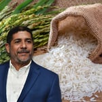 Ministro de Agricultura dice se trata de especulaciones aumento en el arroz