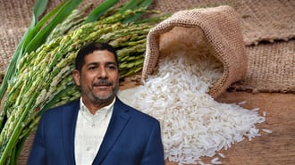 Ministro de Agricultura dice se trata de especulaciones aumento en el arroz