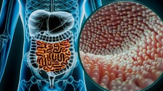 “Diarrea explosiva” pone en alerta a EE.UU.: el parásito invisible que ya deja miles de casos y apunta a la comida fresca