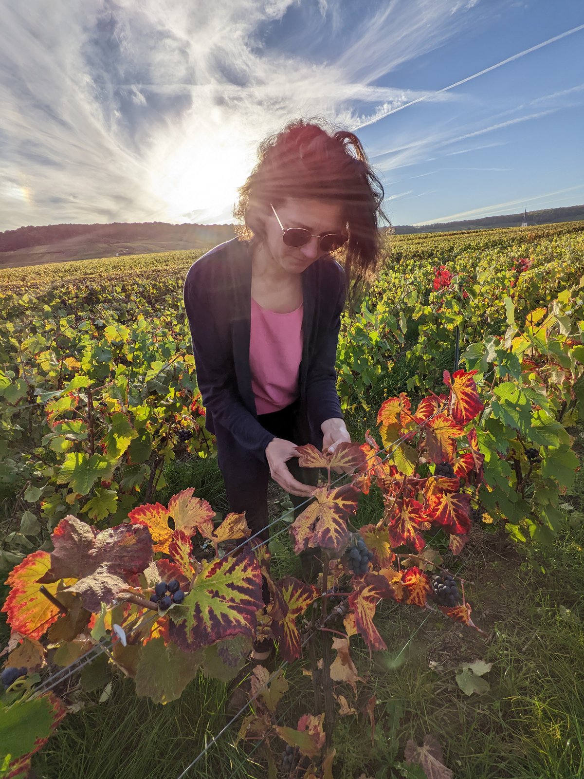 Alexandra auf einem Feld mit Weinreben, Sonnenbrille, Sonnenuntergang im Hintergrund.