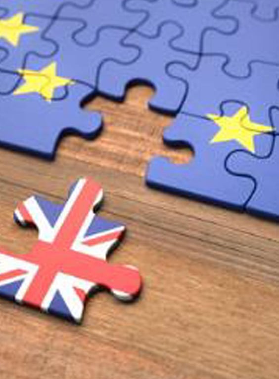 BREXIT – Pharma Implications & Adopting the Change