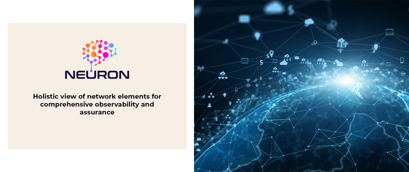 Holistic view of network elements