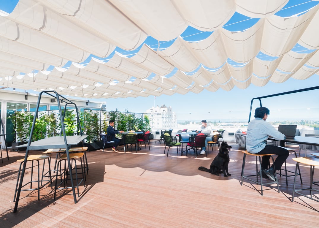 An interior shot of Werqwise - San Mateo
