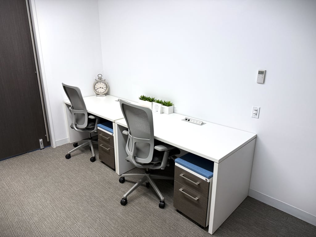 An interior shot of Two Person Day Office