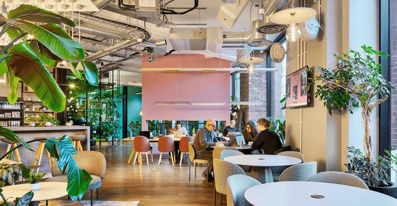 An interior shot of UNCOMMON - Borough