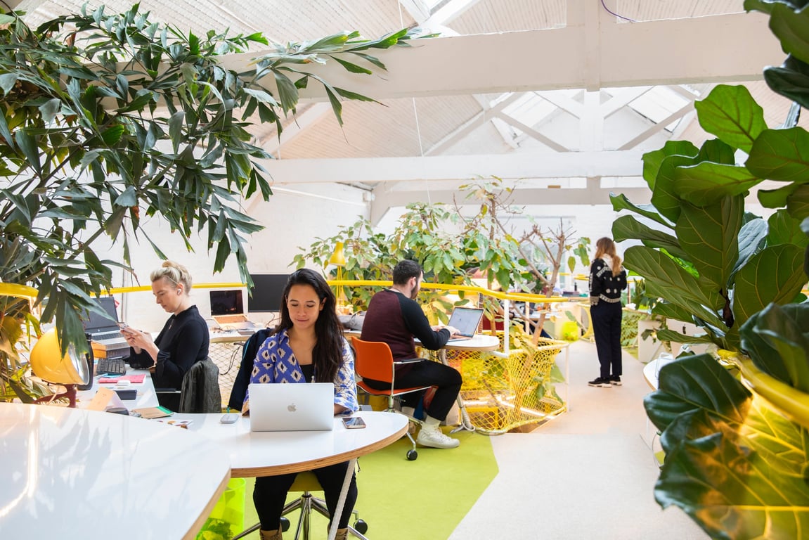 An interior shot of Second Home - Holland Park