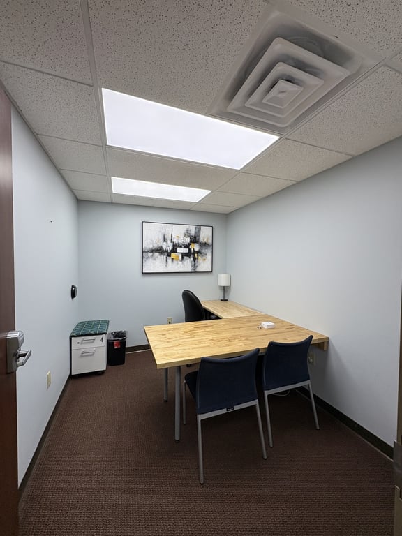 An interior shot of Private Office D9 - Shrewsbury
