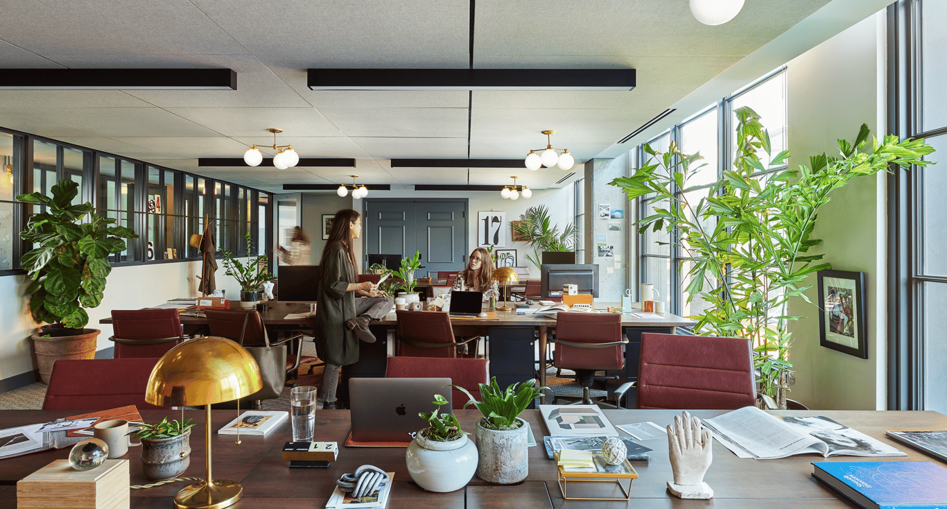 An interior shot of 24-Person Office