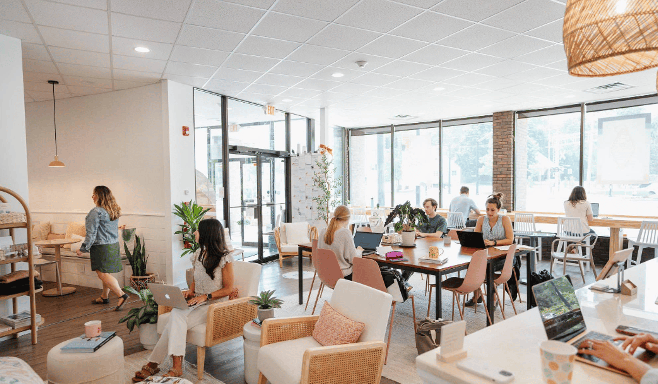 An interior shot of The Collective Co